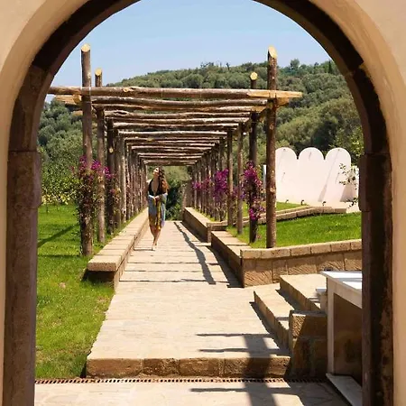 Tenuta Sirignano *